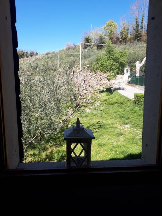 Bed and Breakfast La Collina Olistica Tregnago Экстерьер фото
