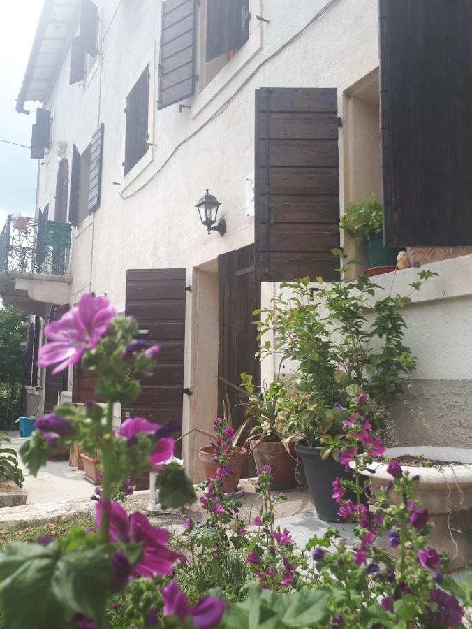 Bed and Breakfast La Collina Olistica Tregnago Экстерьер фото
